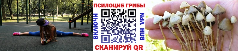 Галлюциногенные грибы Cubensis  что такое   ссылка на мегу   Урус-Мартан 
