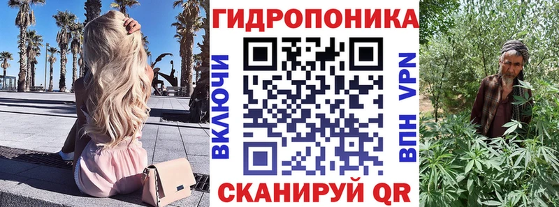 Бошки Шишки конопля  Урус-Мартан 